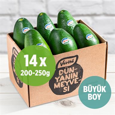 Büyük Boy Fuerte Avokado, 14 Adet