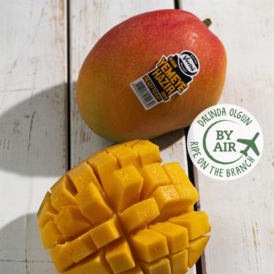 Dalında Olgun Mango, Adet