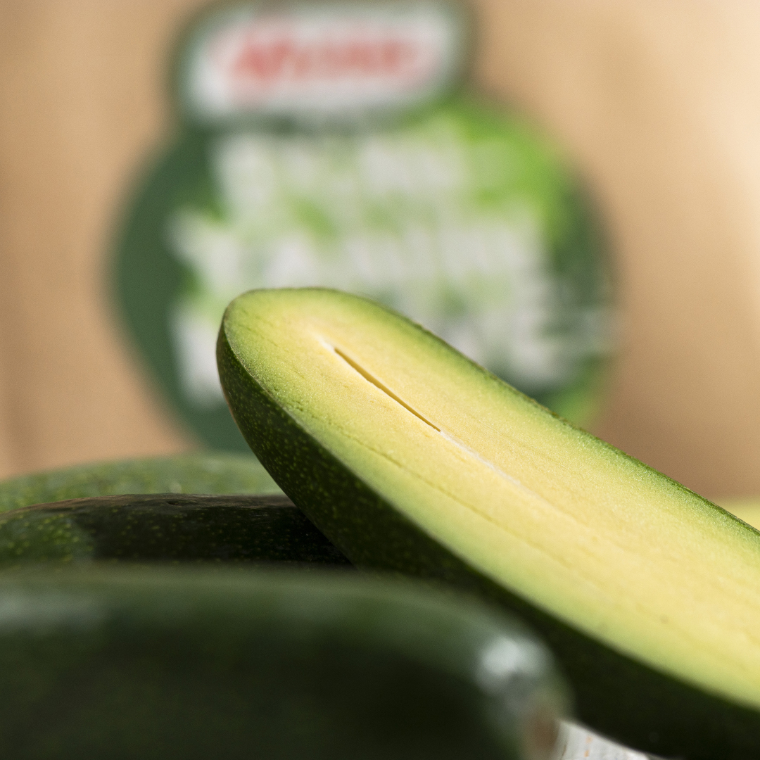 Verita Büyük Boy Fuerte Avokado Özellikleri