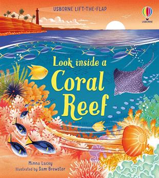 Usborne Look Inside a Coral Reef
