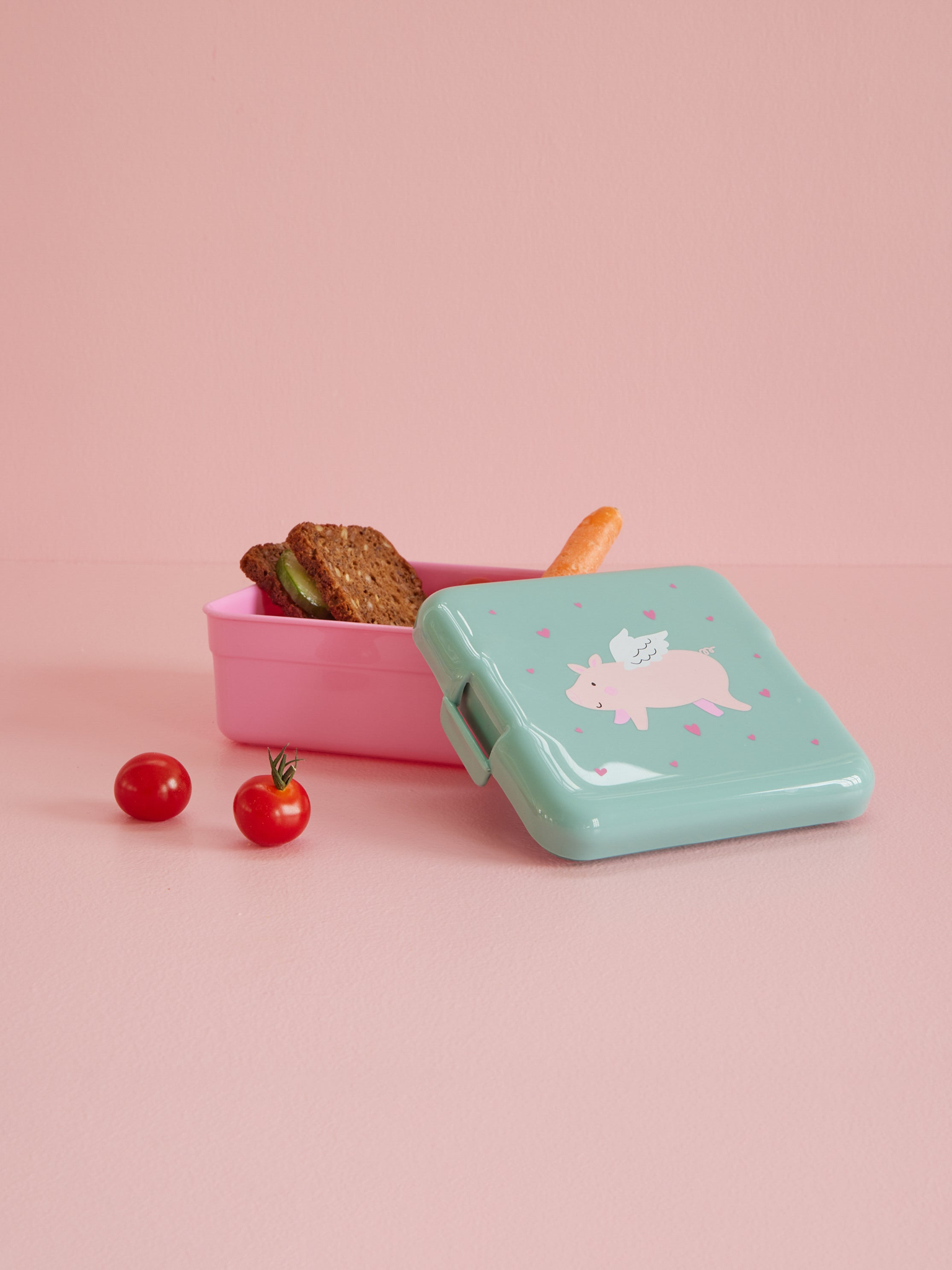 Riceteria Küçük Yemek Kutusu - Flying Pig