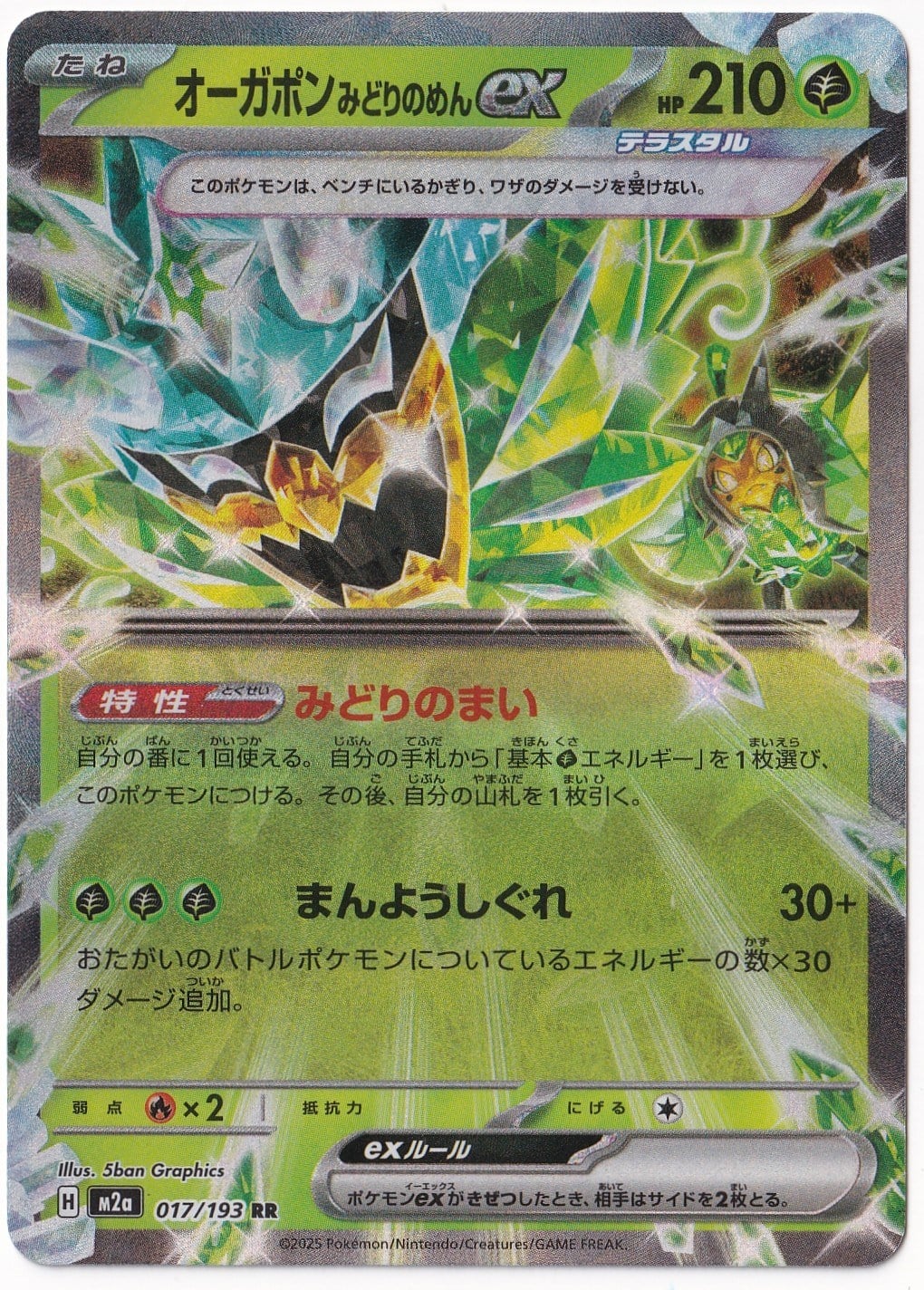 *** Özel Pokemon Kartları ***Teal Mask Ogerpon ex #17 - Pokemon Japanese Mega Dream ex - Pokemon Kartı (Mint)