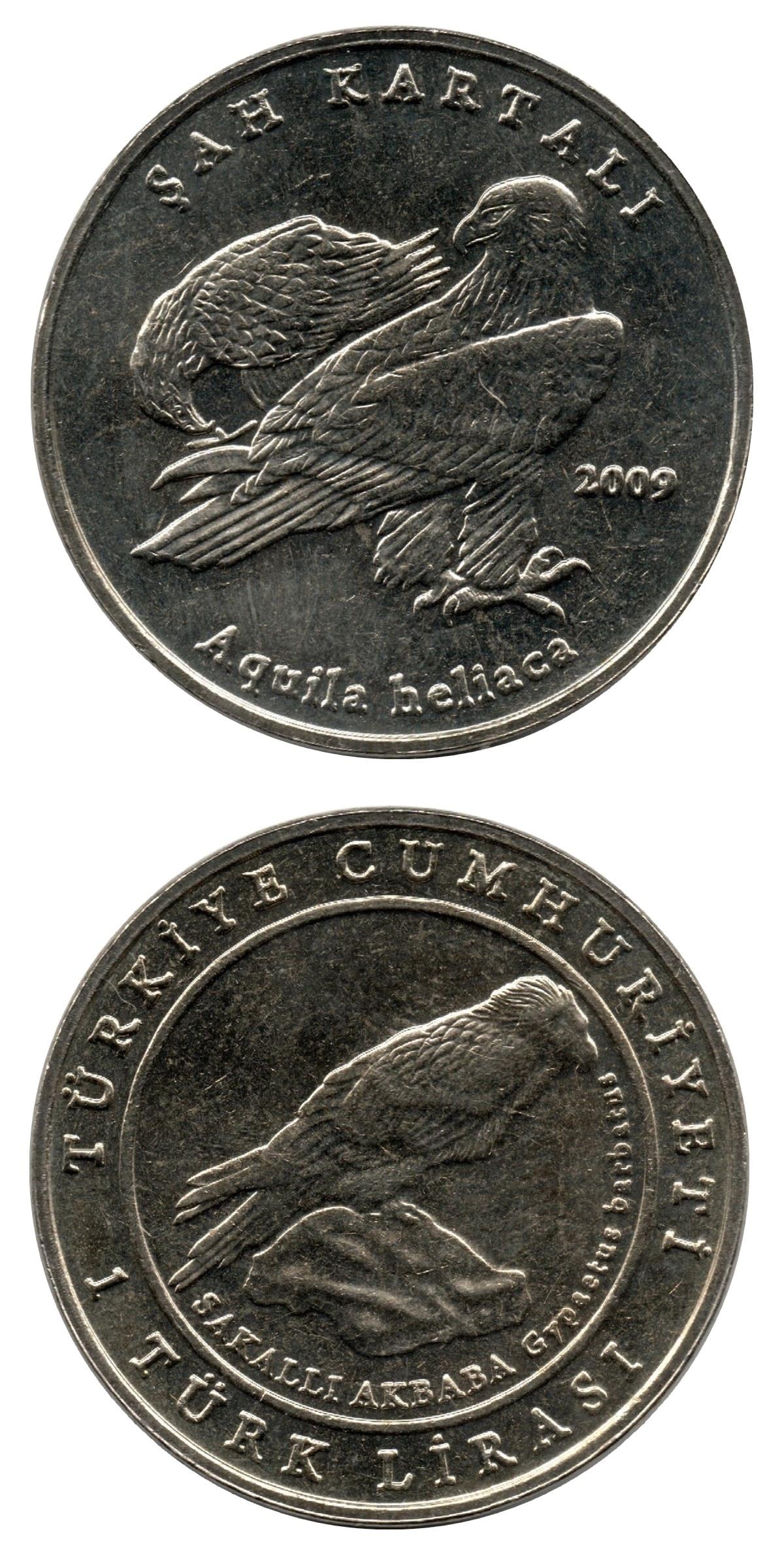 2005 ve Sonrası Dönem Madeni Paraları1 Lira (2009) “Şah Kartalı” ÇİL Eski Madeni Para