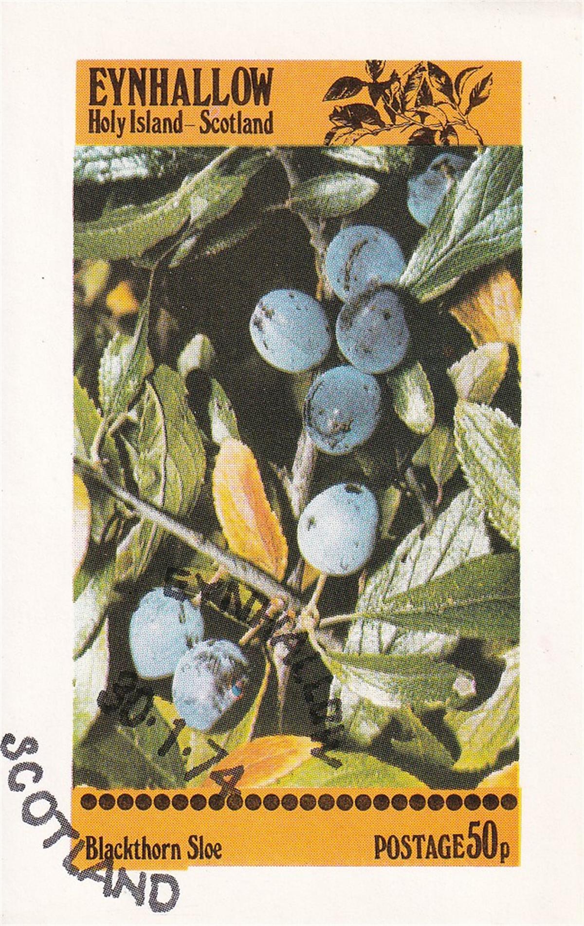 Eynhallow Adası İskoçya, CTO, Çakal Eriği (Blackthorn), Dantelsiz Blok Pul