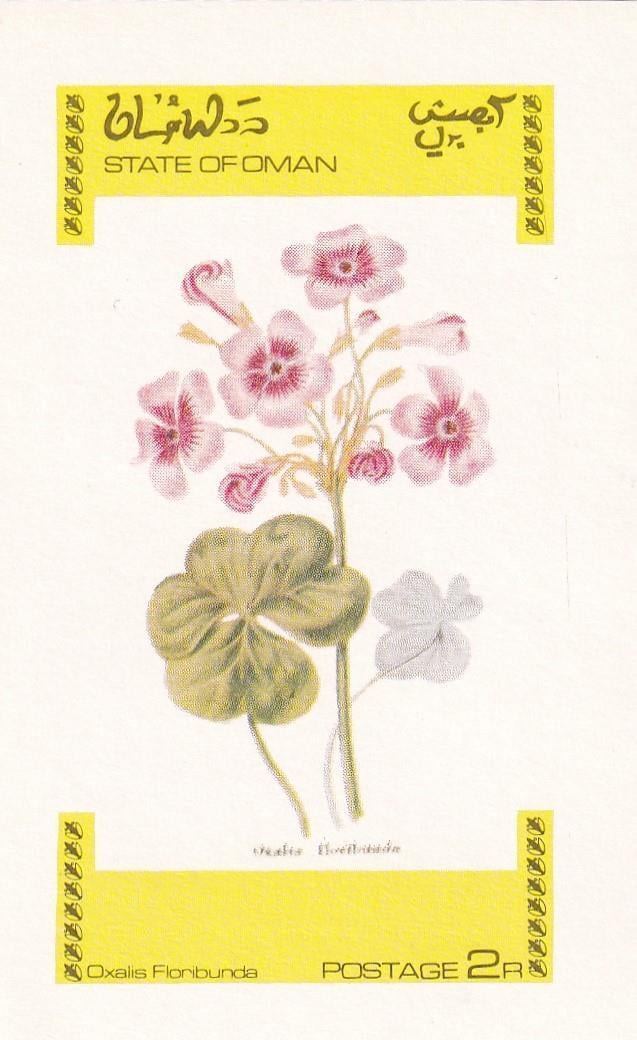Umman, CTO, Oxalis Floribunda, Dantelsiz Blok Pul