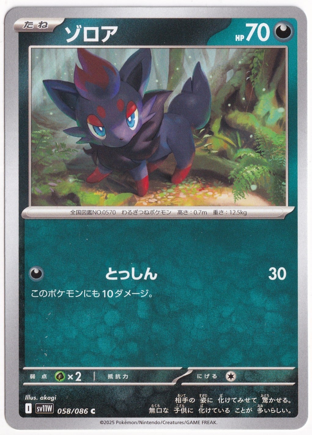 Japanese White FlareZorua 058/086 - Japanese White Flare - Pokemon Kartı (Mint)
