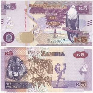 Yabancı Kağıt ParalarZambiya, 5 Kwacha (2021) ÇİL Eski Yabancı Kağıt Para
