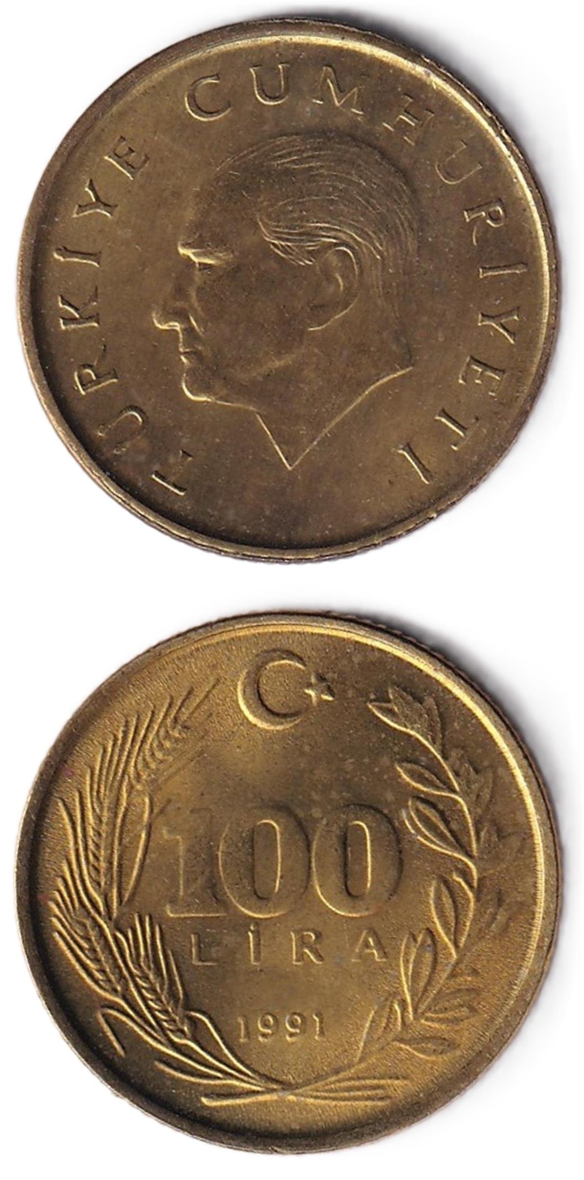 1981-2004 Period Coins100 Lira (1991) ÇİL Eski Madeni Para
