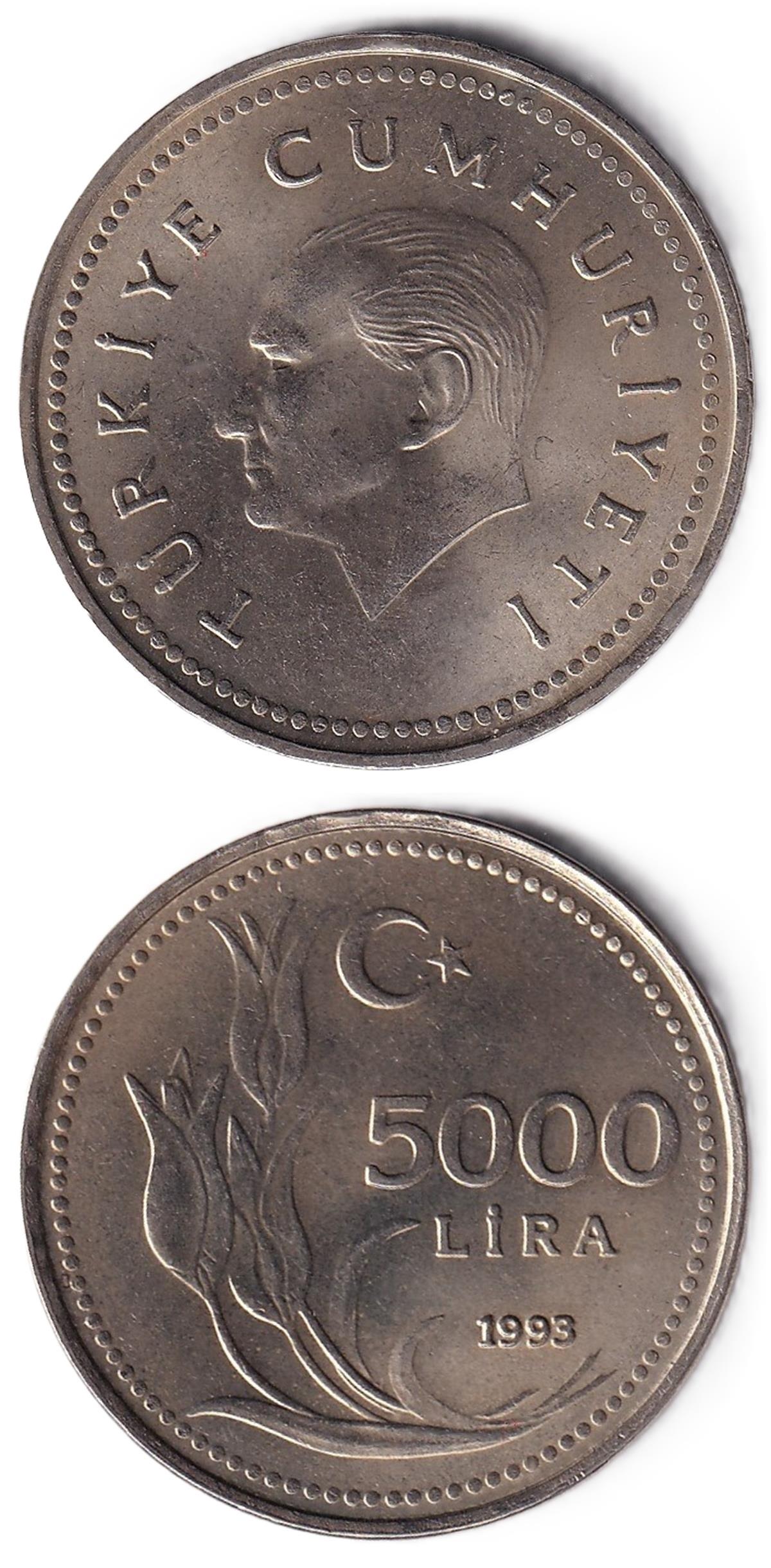1981-2004 Dönemi Madeni Paraları5.000 Lira (1993) ÇİL Eski Madeni Para