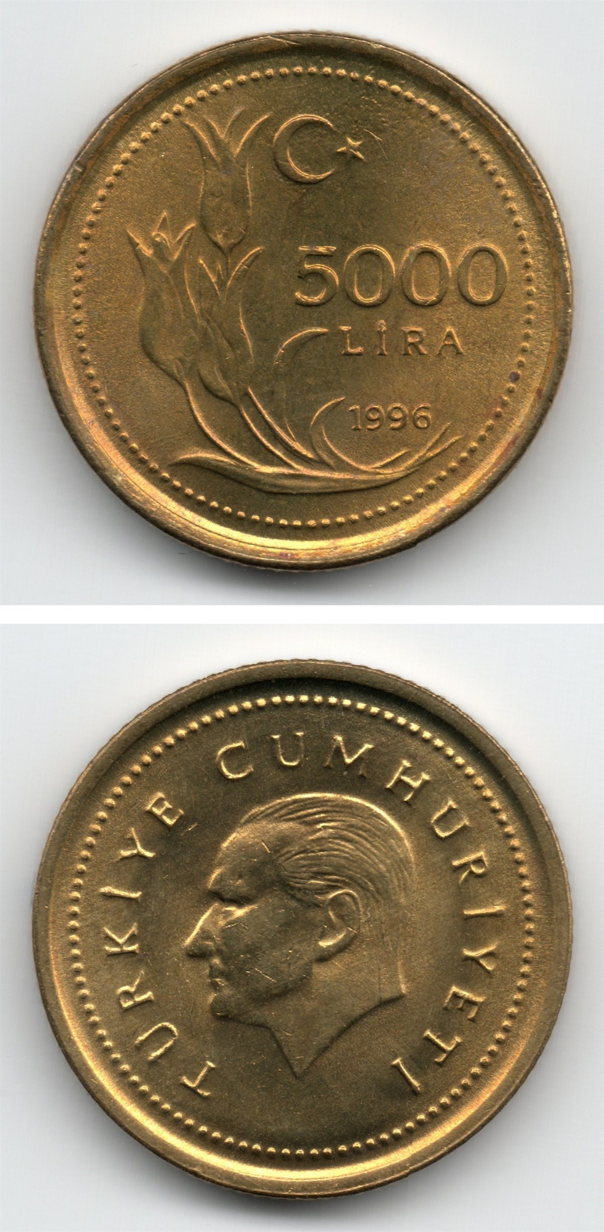 1981-2004 Dönemi Madeni Paraları5,000 Lira (1996) ÇİL Eski Madeni Para