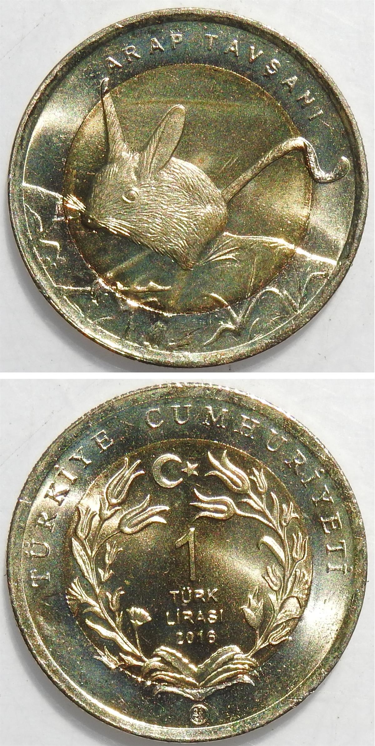 2005 ve Sonrası Dönem Madeni ParalarıArap Tavşanı - 1 Lira 2016 Bimetal Hatıra Parası