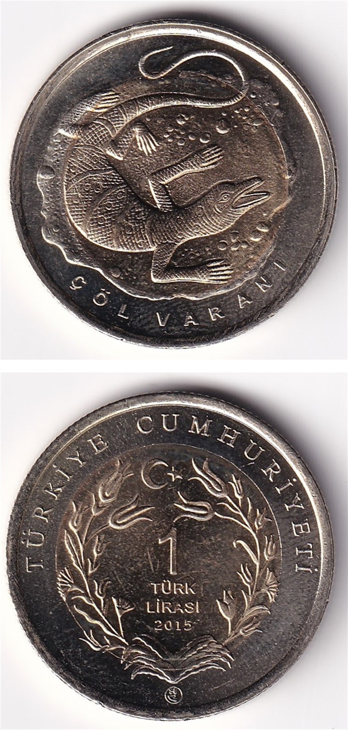 2005 ve Sonrası Dönem Madeni ParalarıÇöl Varanı - 2015 Hatıra Parası