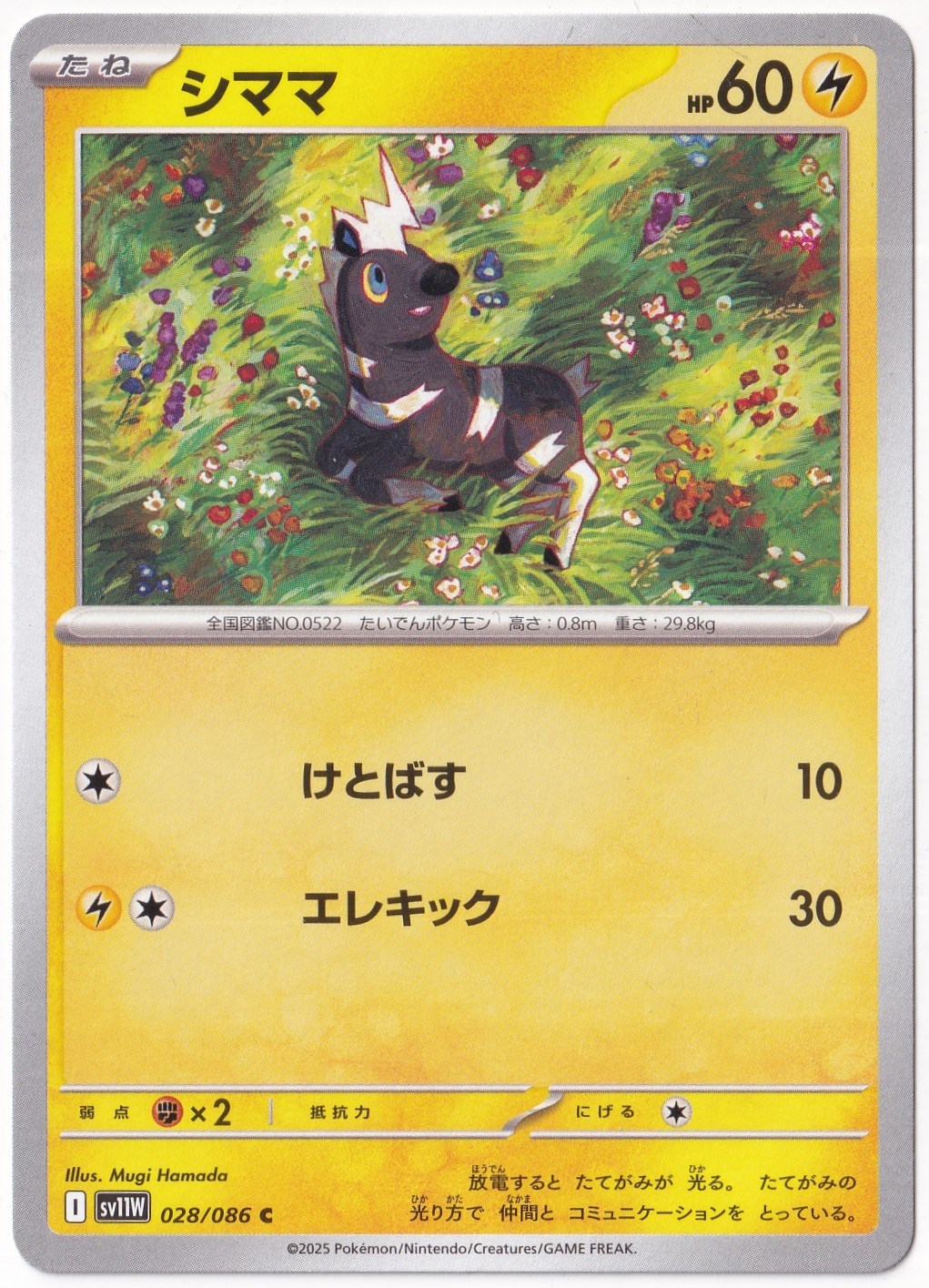 Japanese White FlareBlitzle 028/086 - Japanese White Flare - Pokemon Kartı (Mint)