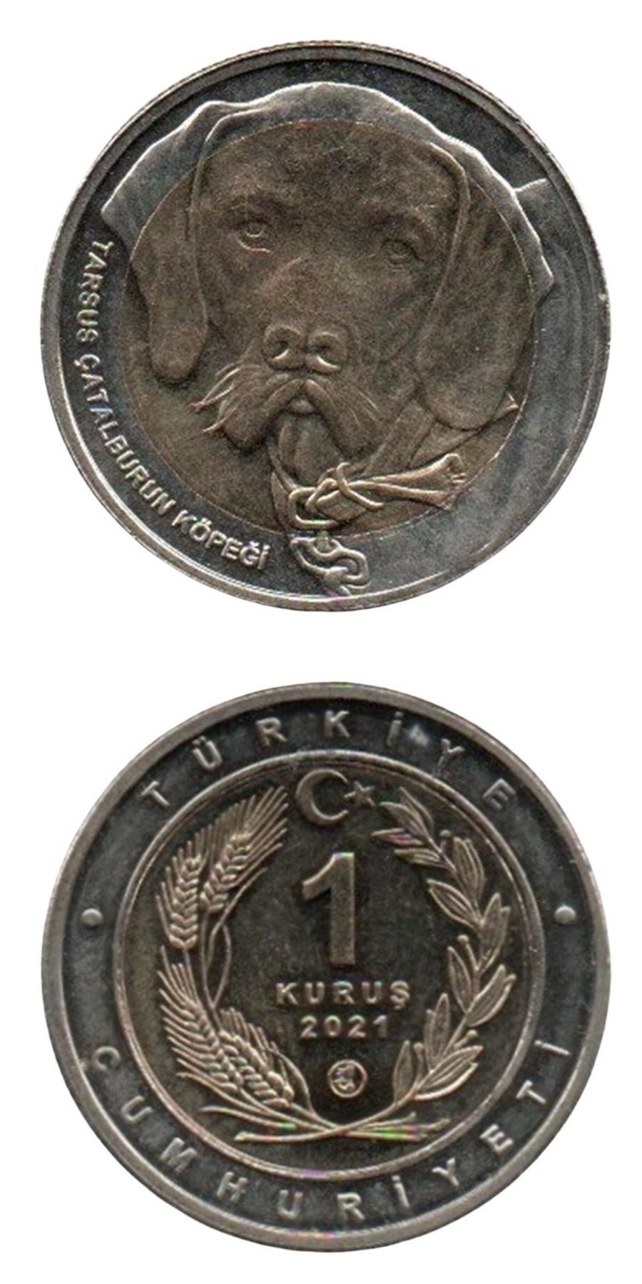 Coin Commemorative CoinsTarsus Çatalburun Dog Commemorative Coin - UNC, 2021, 1 Kurus