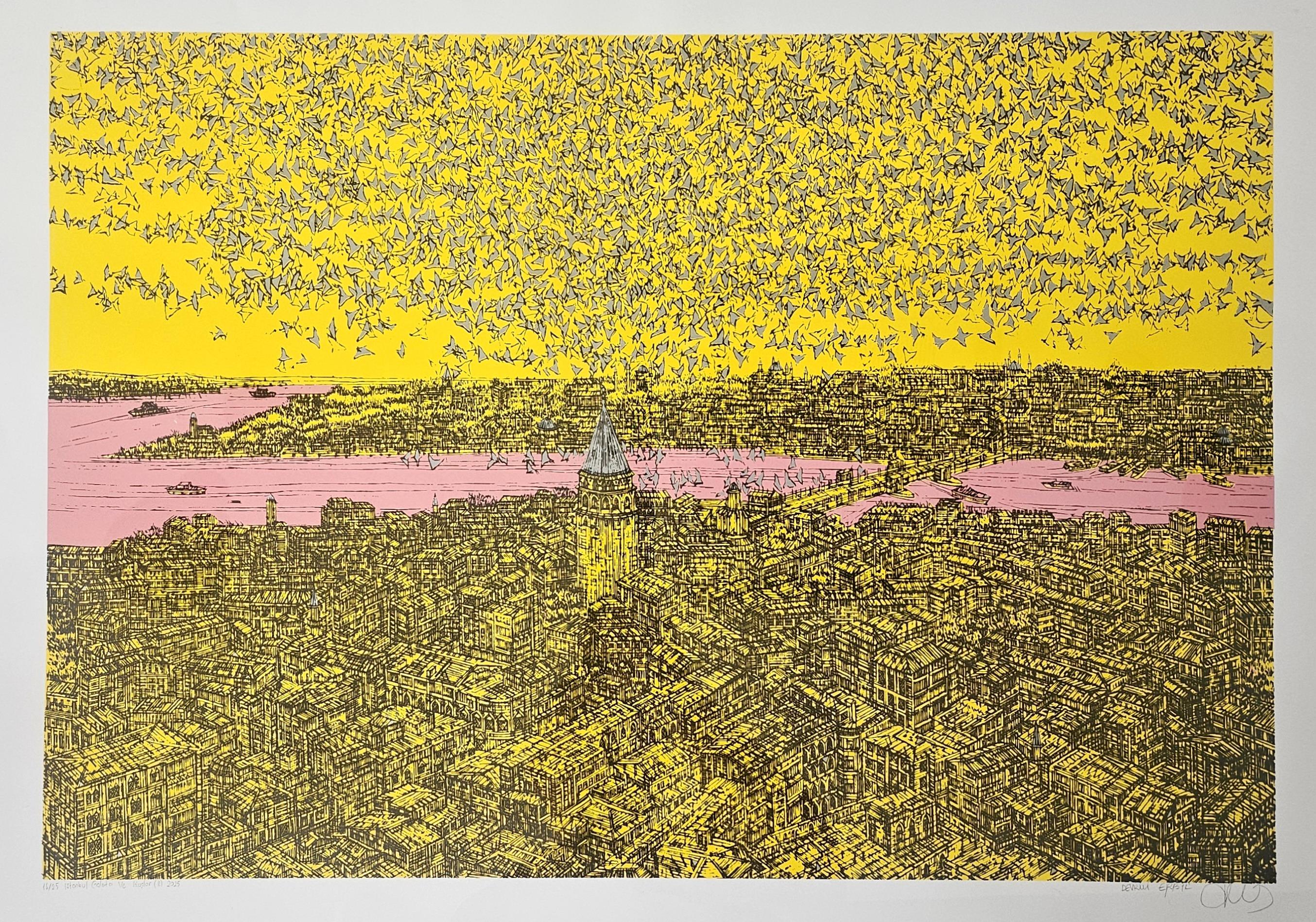 Devrim Erbil - İstanbul, Galata ve Kuşlar (B) 2025 İmzalı Özgün