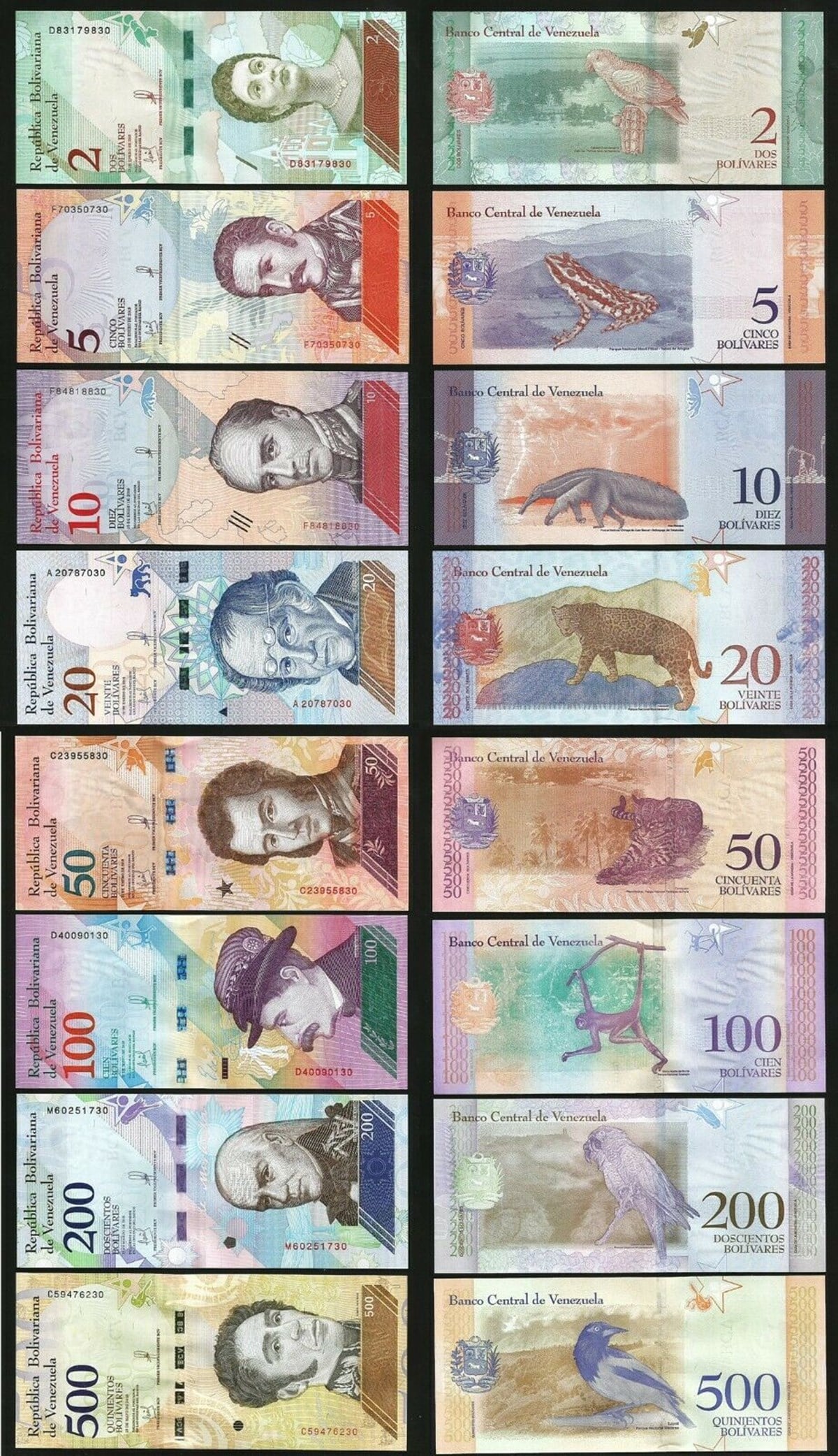 Venezuela Eski Kağıt Para Seti (2-5-10-20-50-100-200-500 Bolivar, 2018)