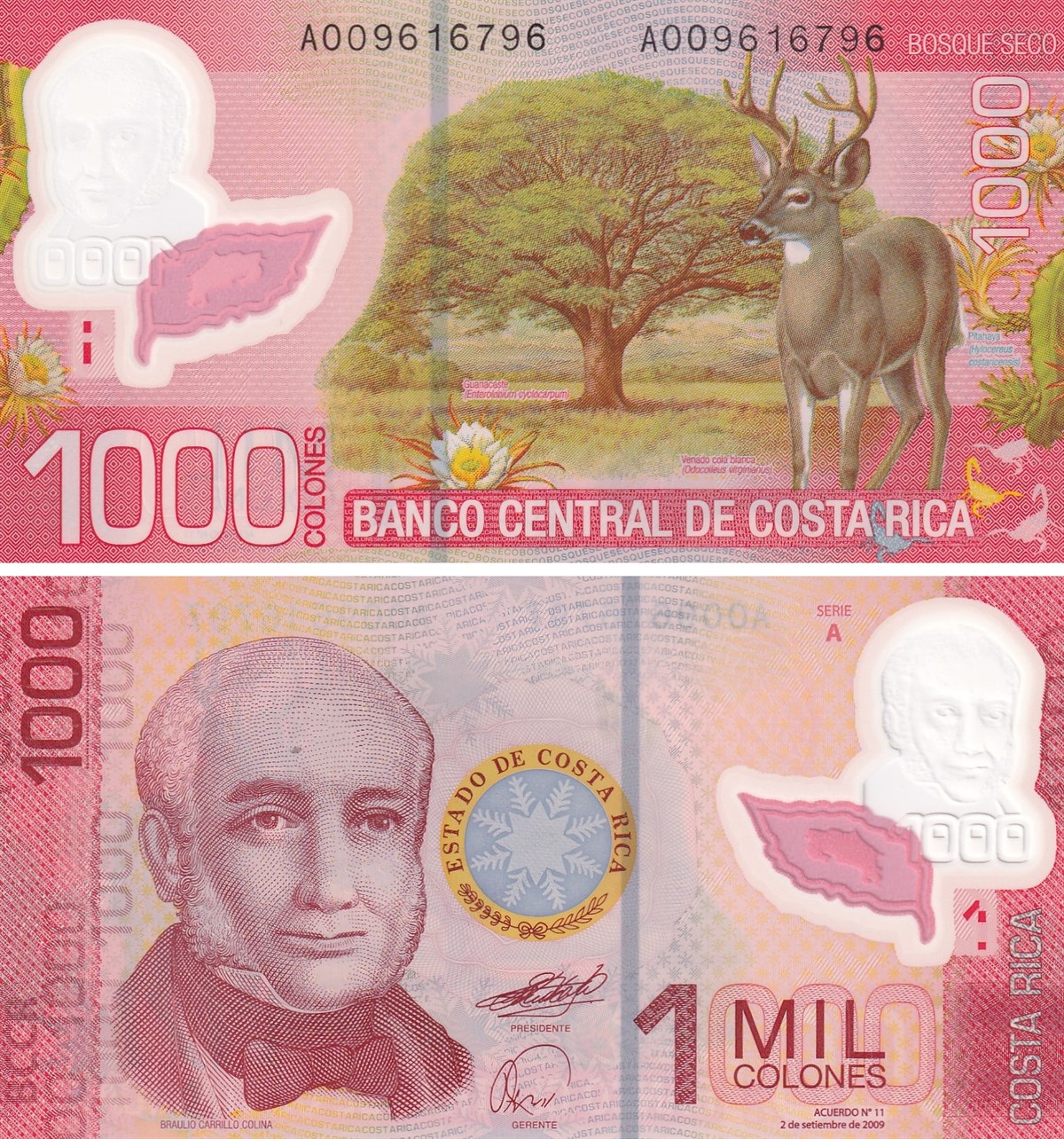 Foreign State BanknotesKosta Rika, 1000 Colones (2009) P#274 Polimer ÇİL Eski Yabancı Kağıt Para