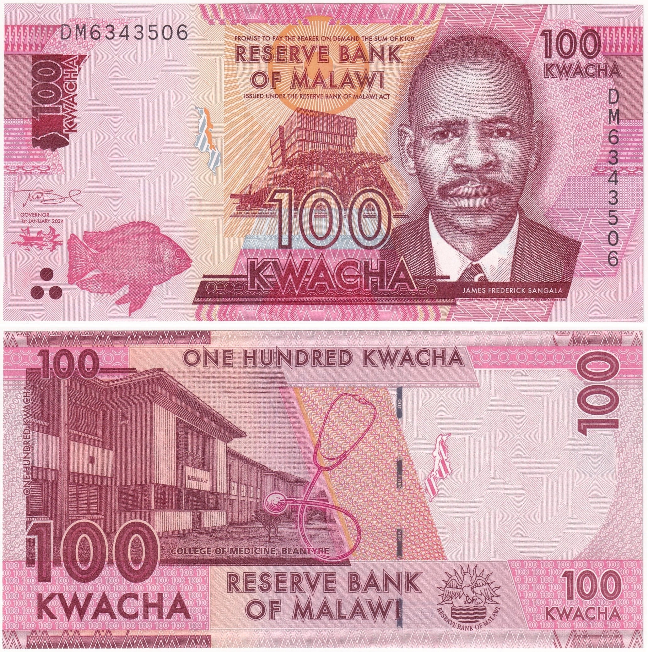 Foreign Paper MoneyMalavi, 100 Kwacha (2024) P#65 ÇİL Eski Yabancı Kağıt Para
