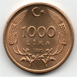 1981-2004 Period Coins1.000 Lira (1995) ÇİL Eski Madeni Para