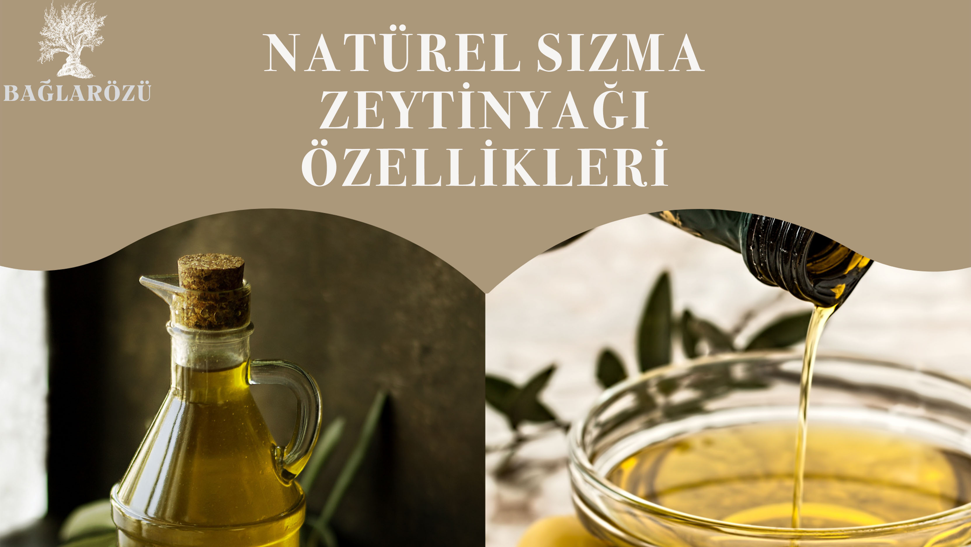 Blog | Bağlarözü Zeytinyağı: Sıkma Zeytinyağı, Doğal Zeytinyağı Çeşitleri