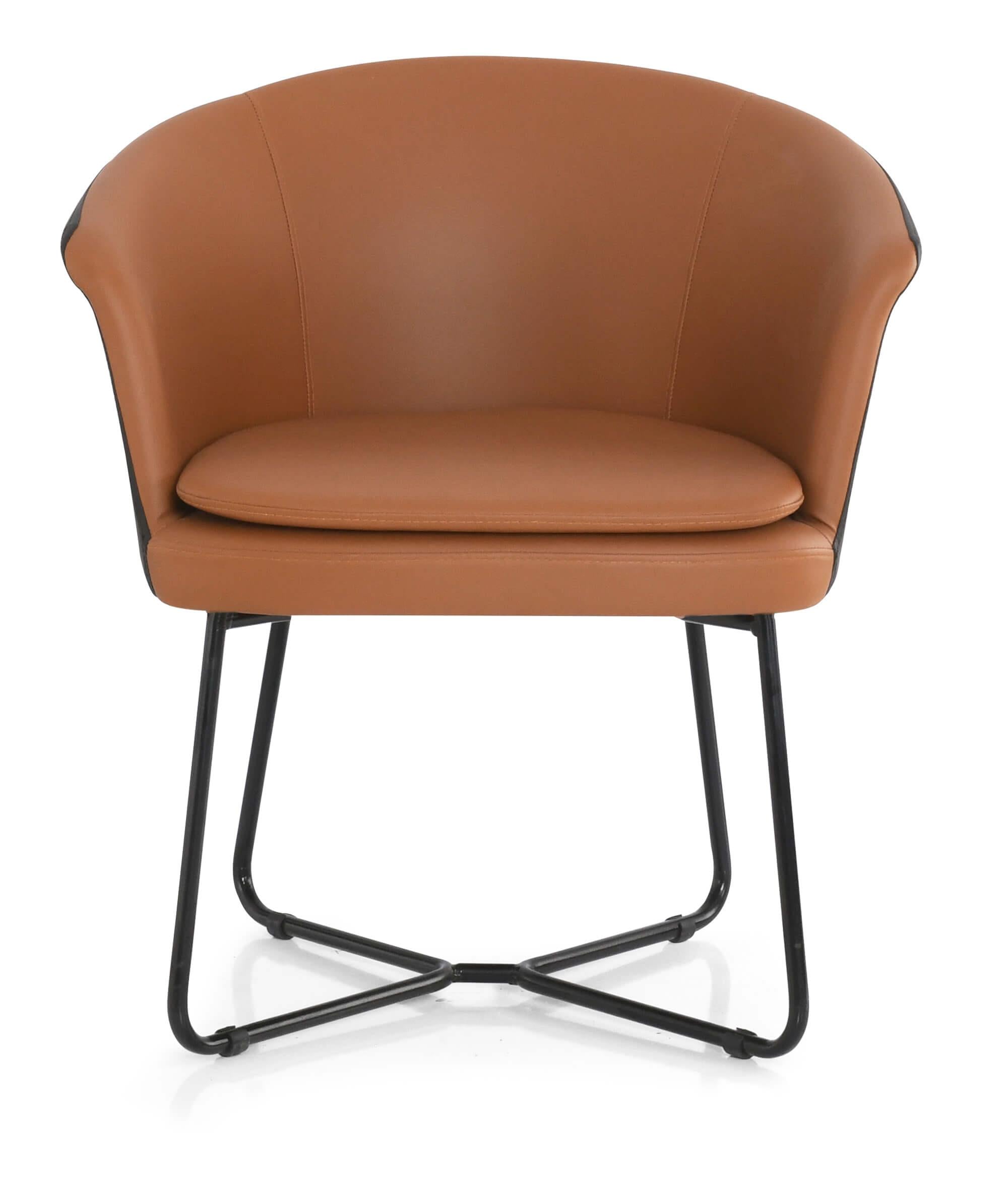 Luvino Polo Sandalye Boru Ayaklı Minderli