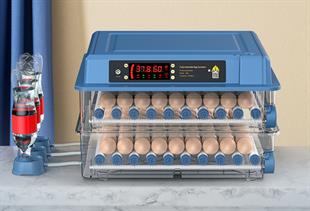176 Yumurtalık  Yeni Nesil Otomatik  Kuluçka Makinesi