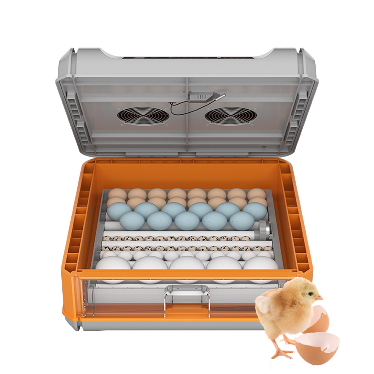 2022 Model Yeni Nesil 64 yumurtalık Kuluçka Makinesi