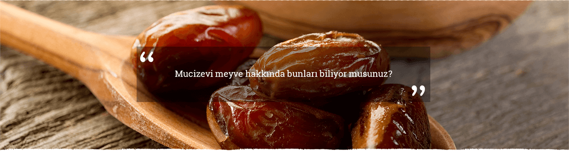 Hurma Hakkında