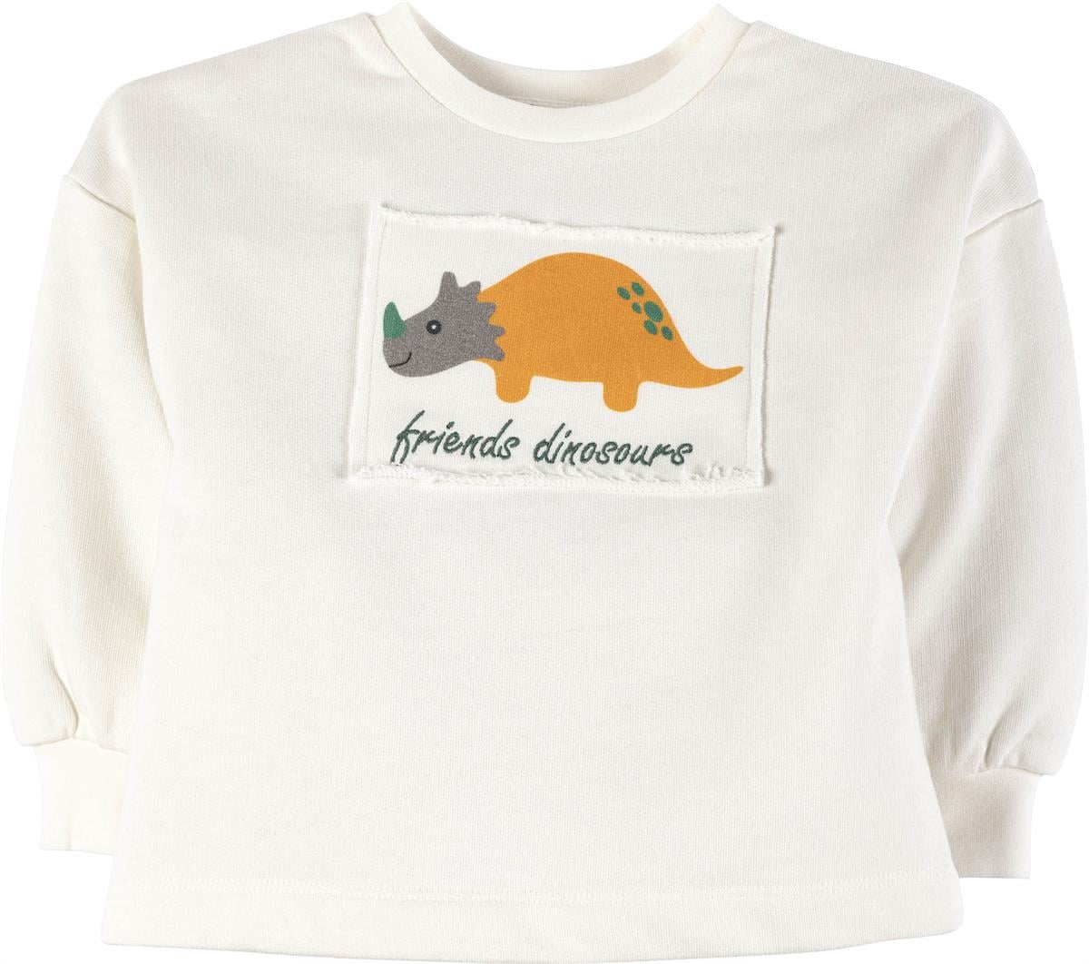 Baskılı Sweatshirt 17083