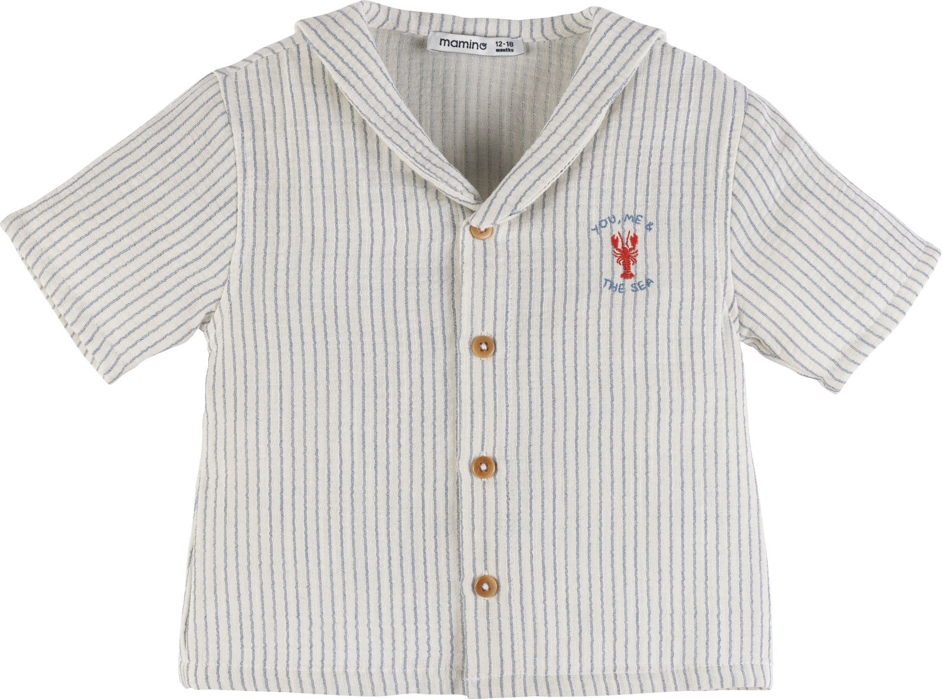 Çizgili Gömlek 19381