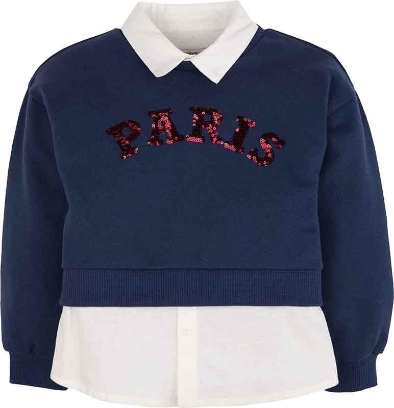 Sweatshirt 18950