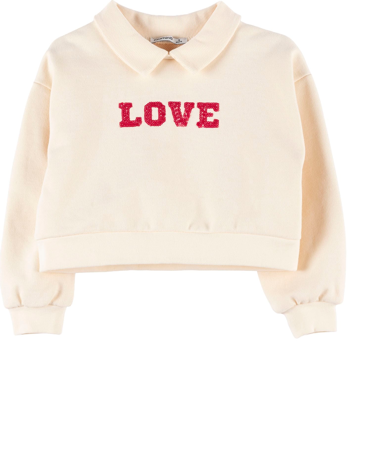 Sweatshirt 19741