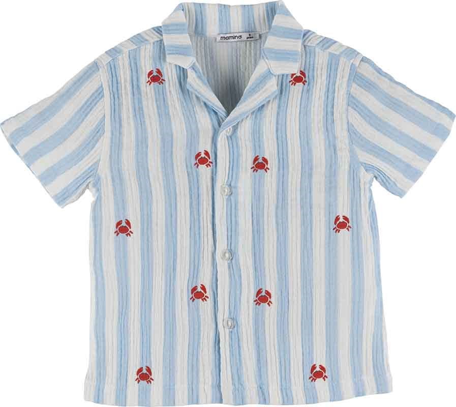 Çizgili Gömlek 19365