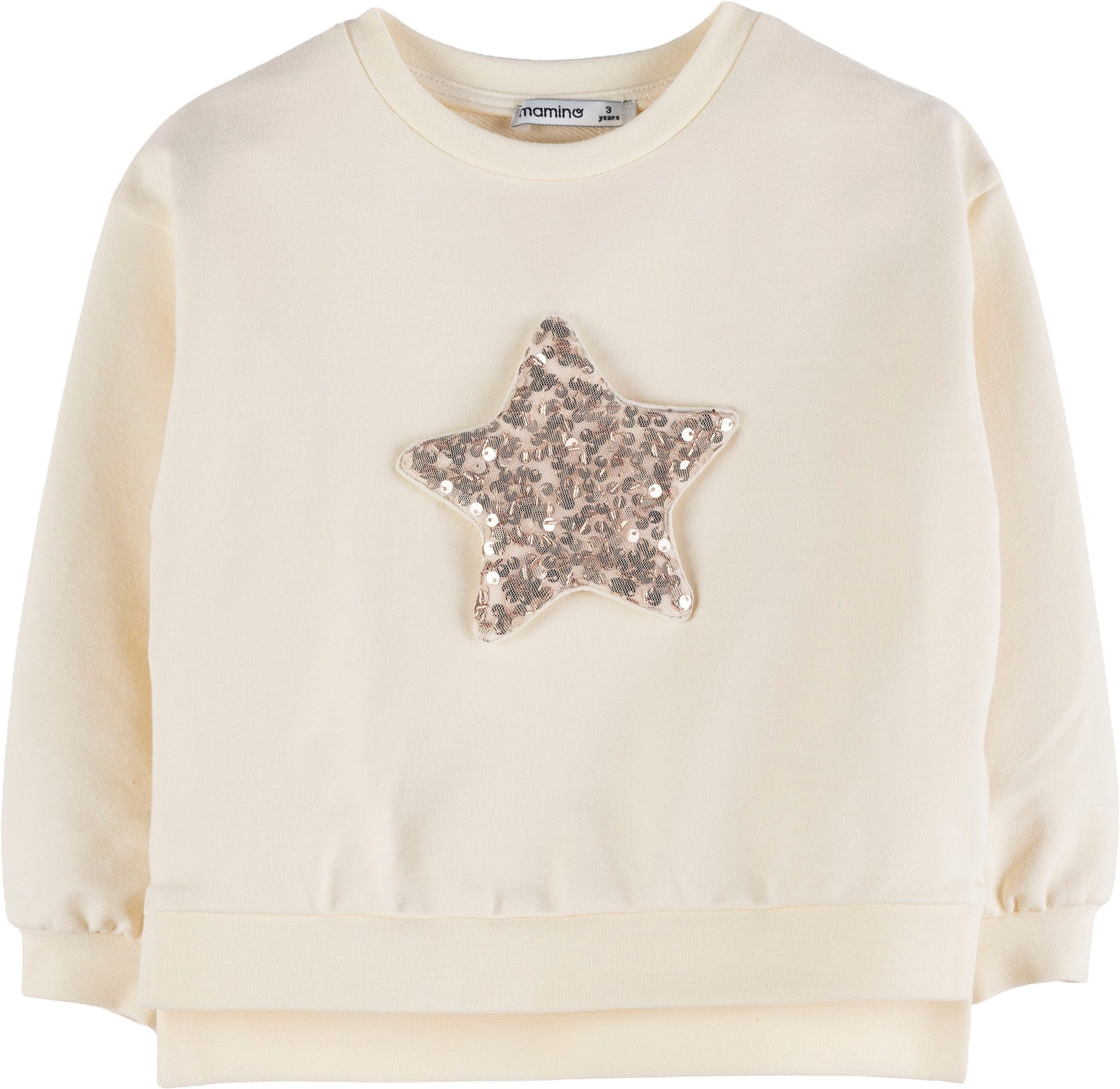 Sweatshirt 19930