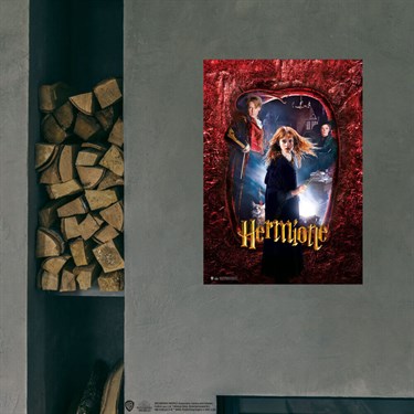 Lisanslı Kuşe Kağıt HD Baskı Hermione Granger Posteri