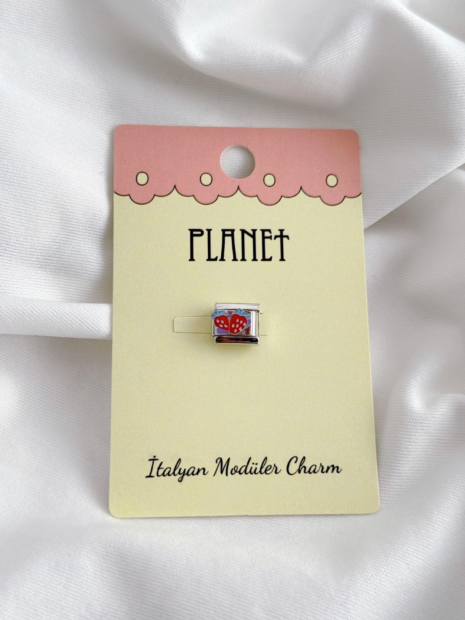 Çilekler Kartlı İtalyan Charm