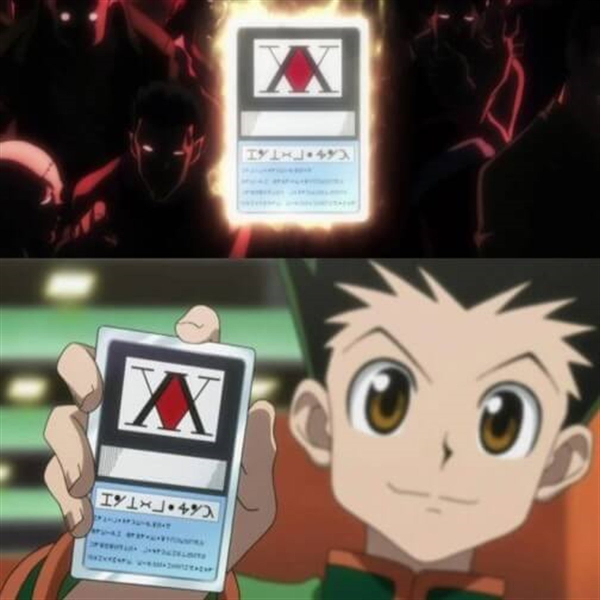 Hunter X Hunter Avcı Lisans Kartı