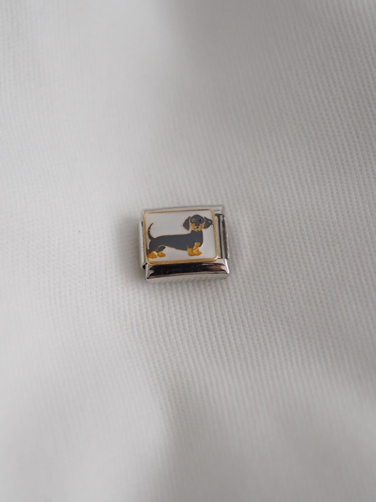 Köpek İtalyan Charm