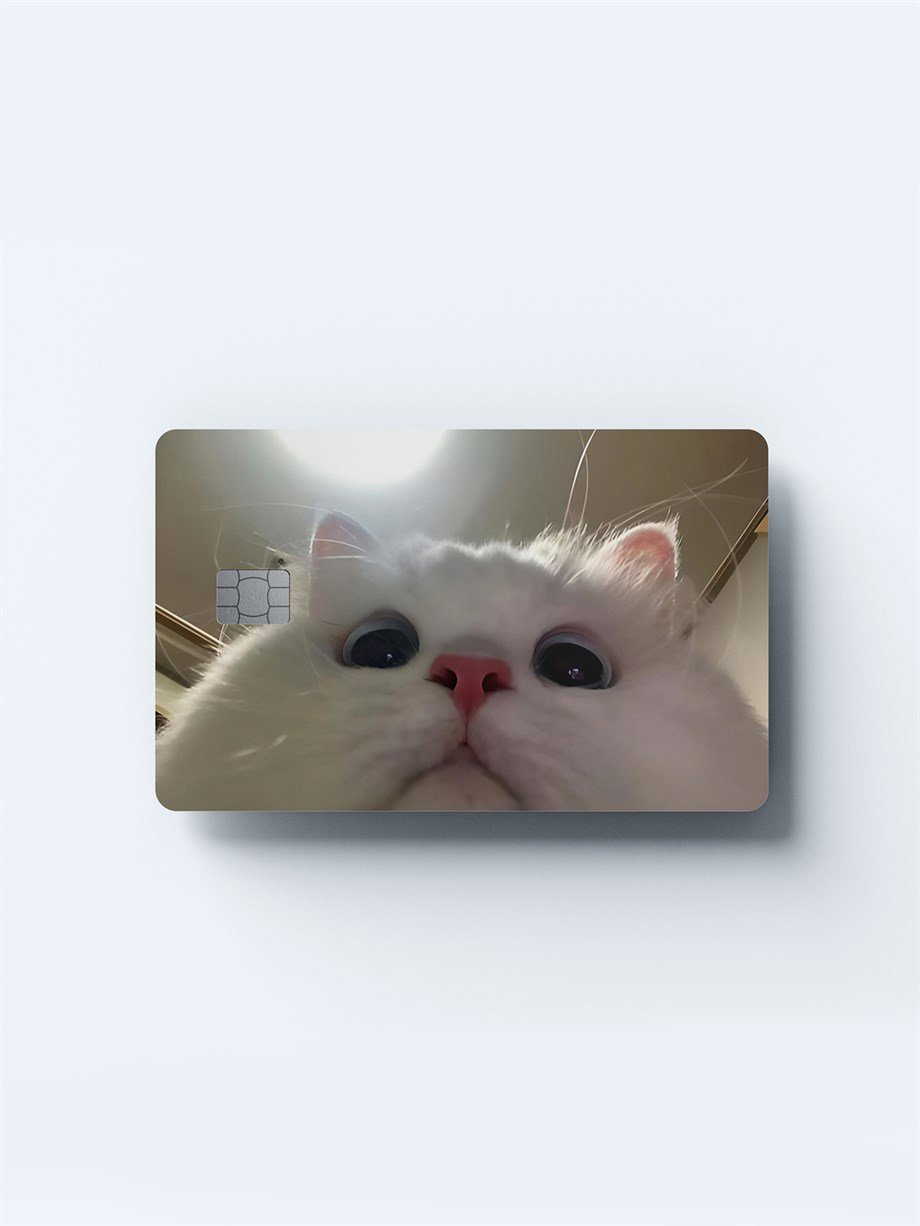 Sevimli Kedi Kart Kaplama Sticker