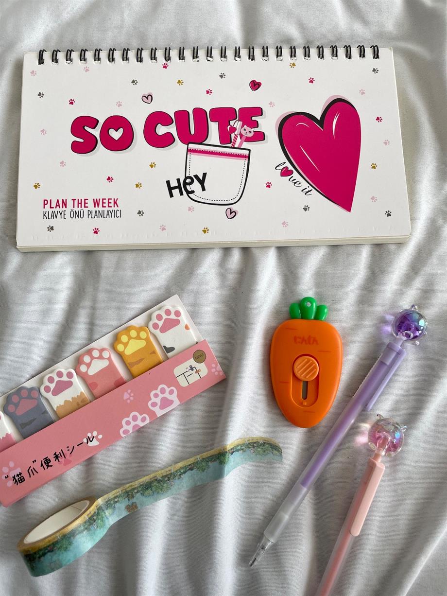 So Cute Spiralli Planlayıcı Defter