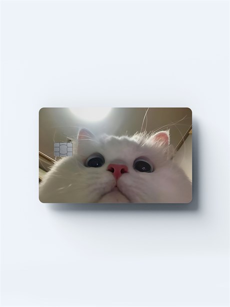 Sevimli Kedi Kart Kaplama Sticker