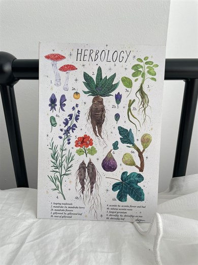 Herbology Mini Ahşap Poster
