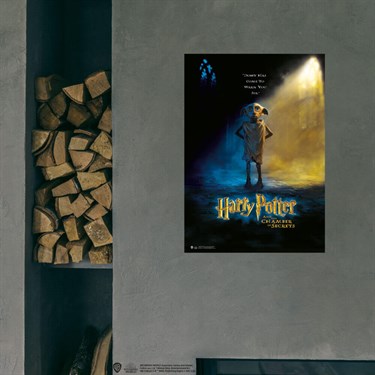 Lisanslı Kuşe Kağıt HD Baskı Harry Potter Dobby Posteri