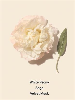 Bombshell Seduction Vücut Spreyi