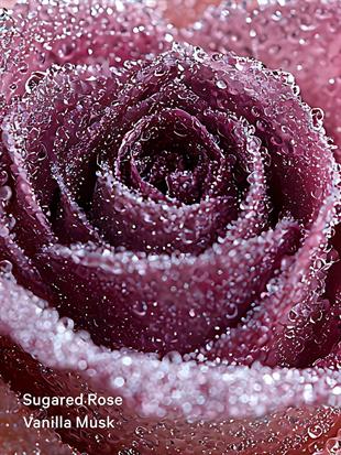 Cashmere Fleur Vücut Spreyi