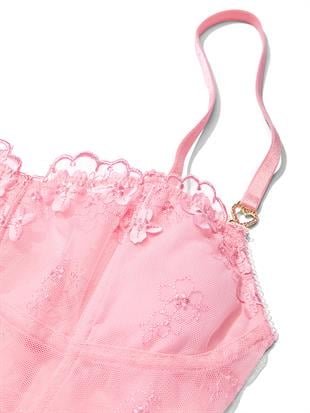 Taç Yapraklı Büstiyer