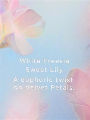 Velvet Petals Bliss Vücut Losyonu