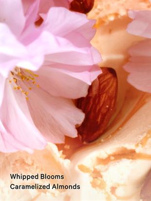 Velvet Petals Brulee Vücut Spreyi