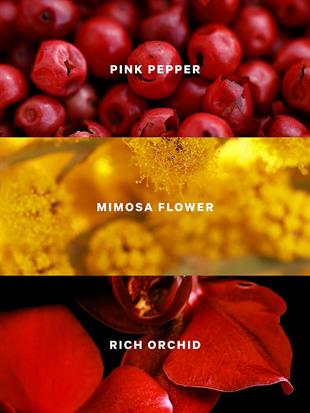 Very Sexy Seyahat Boy Vücut Spreyi