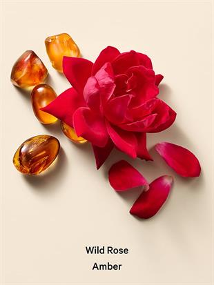 Wild Rose Amber Vücut ve Masaj Yağı